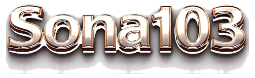 sona103 logo